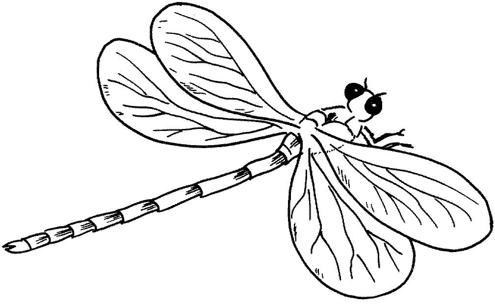 Dragonfly Printable Coloring Pages
