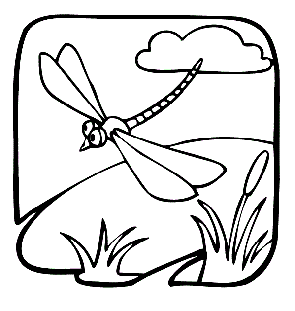 Dragonfly is Flying Coloring Page