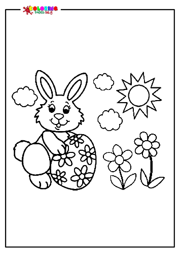 复活节兔子花和太阳