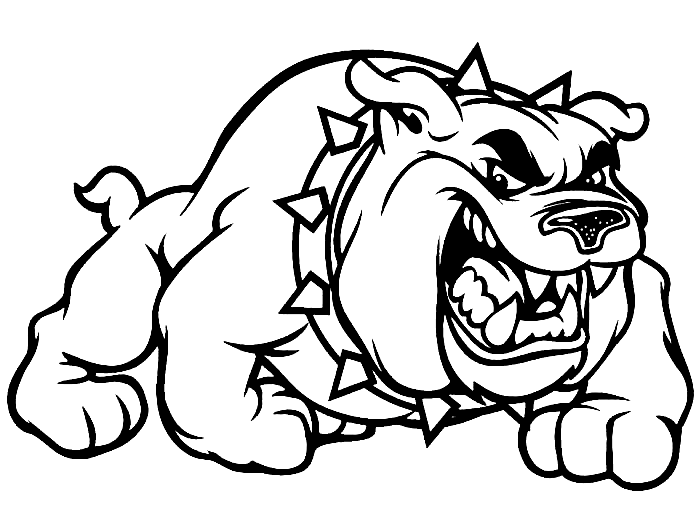 Fierce Bulldog Coloring Page