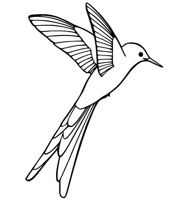 Vliegende kolibrie van Kolibrie