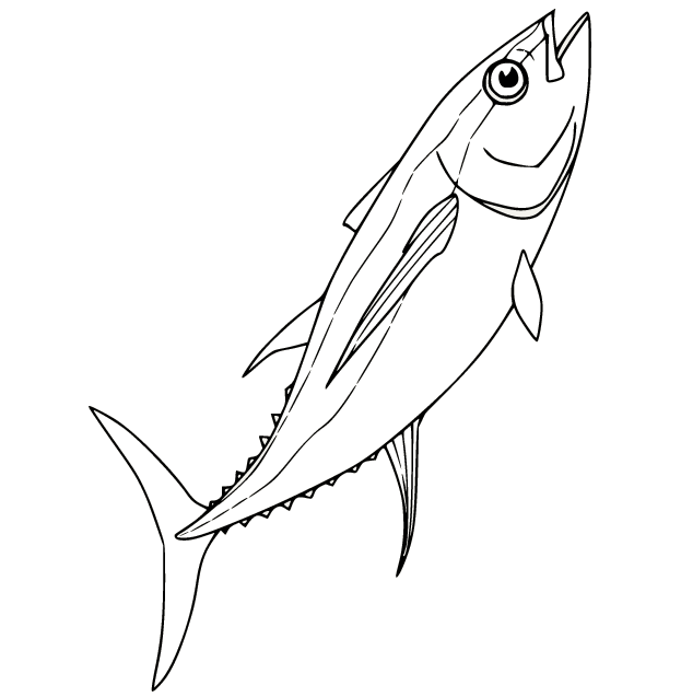 Бесплатная распечатка большеглазого тунца от Tuna