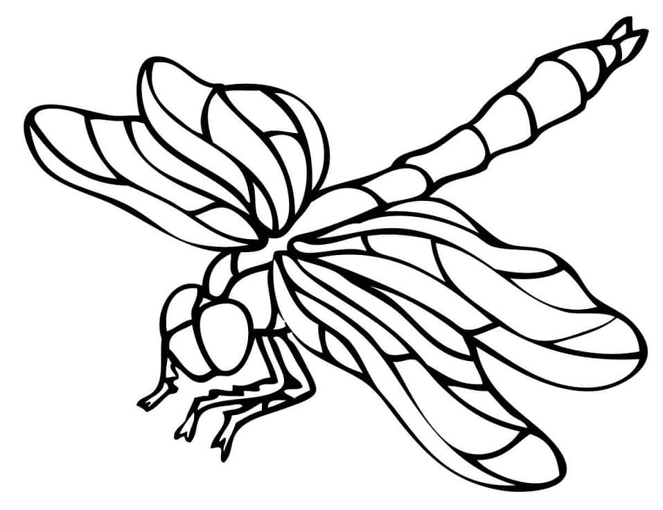 Free Printable Dragonfly Coloring Page