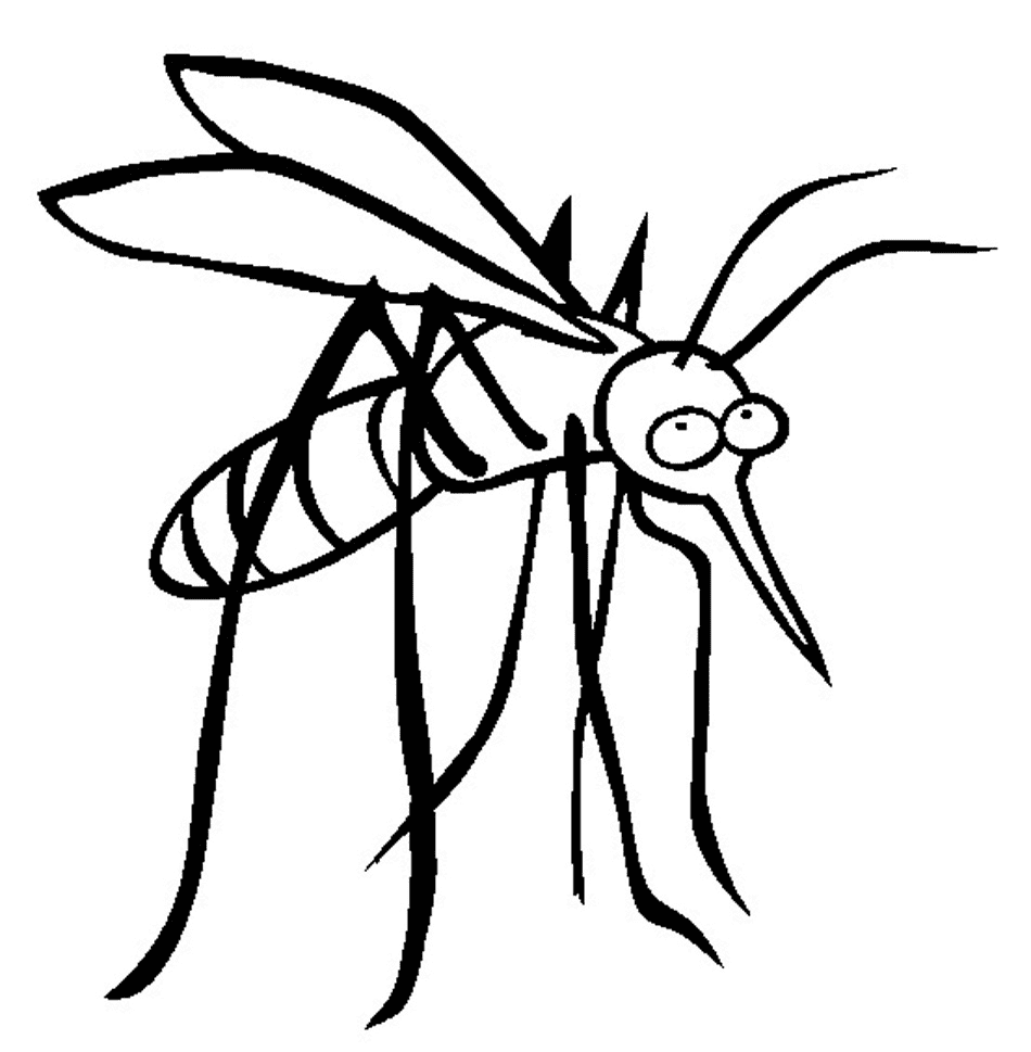 Free Printable Mosquito Coloring Page