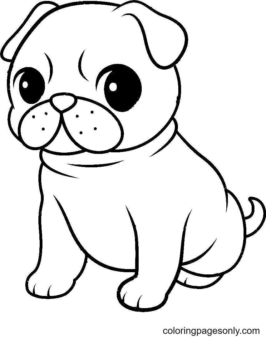 Free Printable Pug Dog Coloring Page