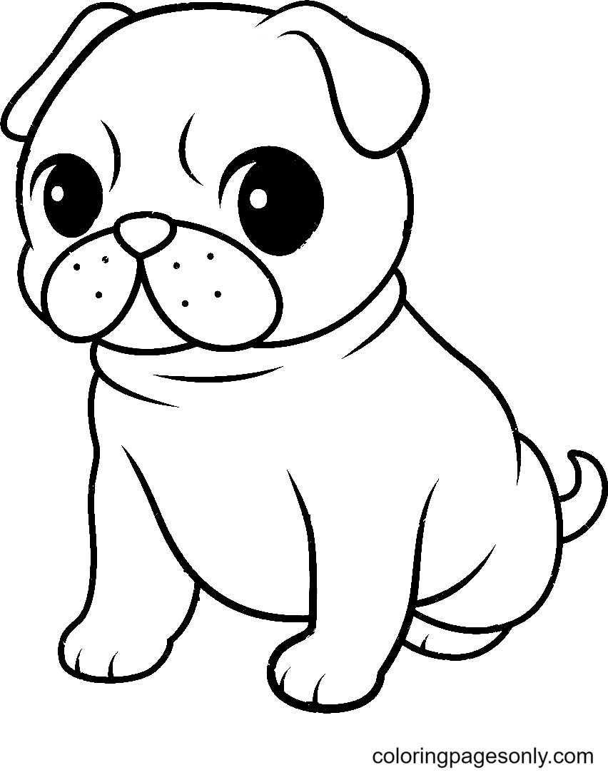 Any Pug Coloring Pages To Downlaod For Free