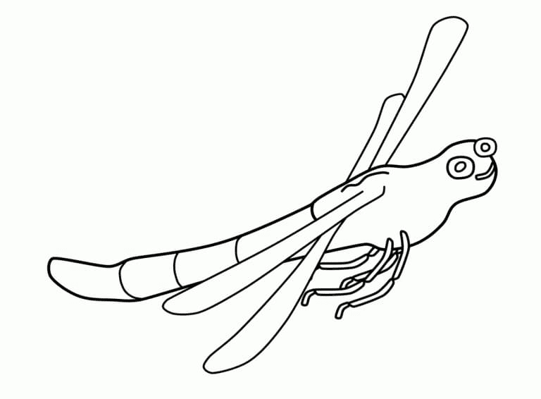 Funny Dragonfly Coloring Page