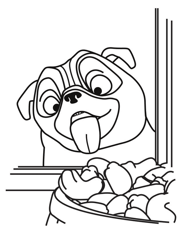 Funny Pug Coloring Page