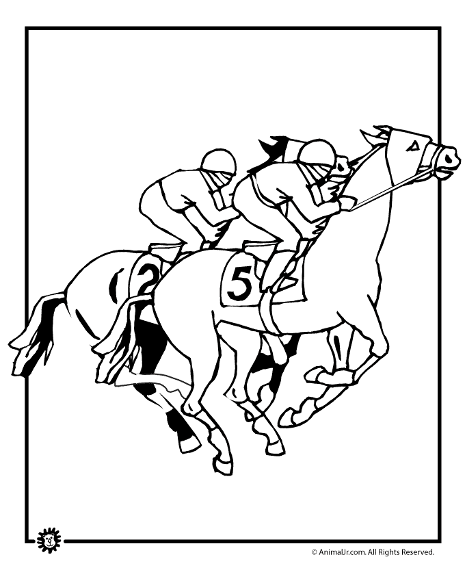 Paardenrennen uit de paardensport