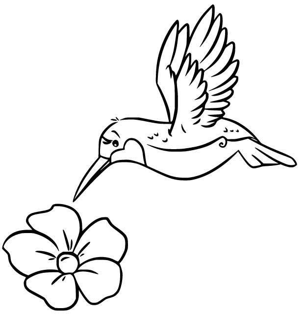 Hummingbird Collecting Honey Coloring Page