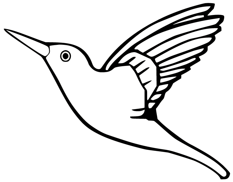 Hummingbird Printable Coloring Page