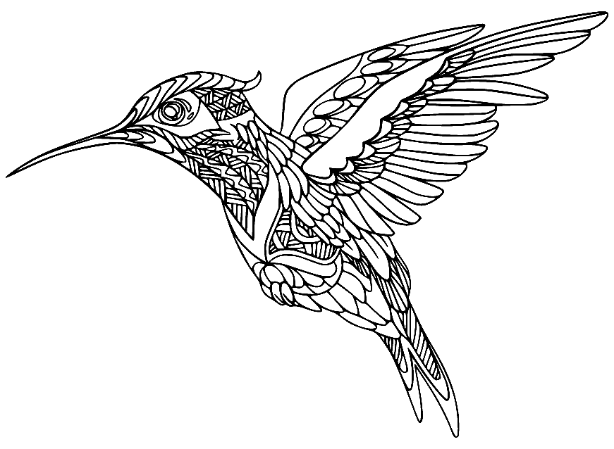 Колибри в технике дзентангл от Hummingbird