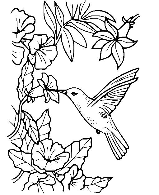 Hummingbird and Flowers from