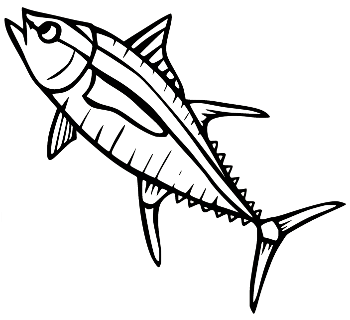 قفز سمك التونة البكورة من سمك التونة