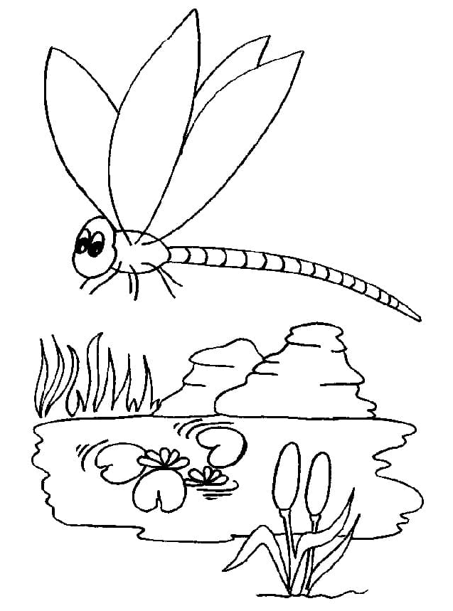Lovely Dragonfly Coloring Pages