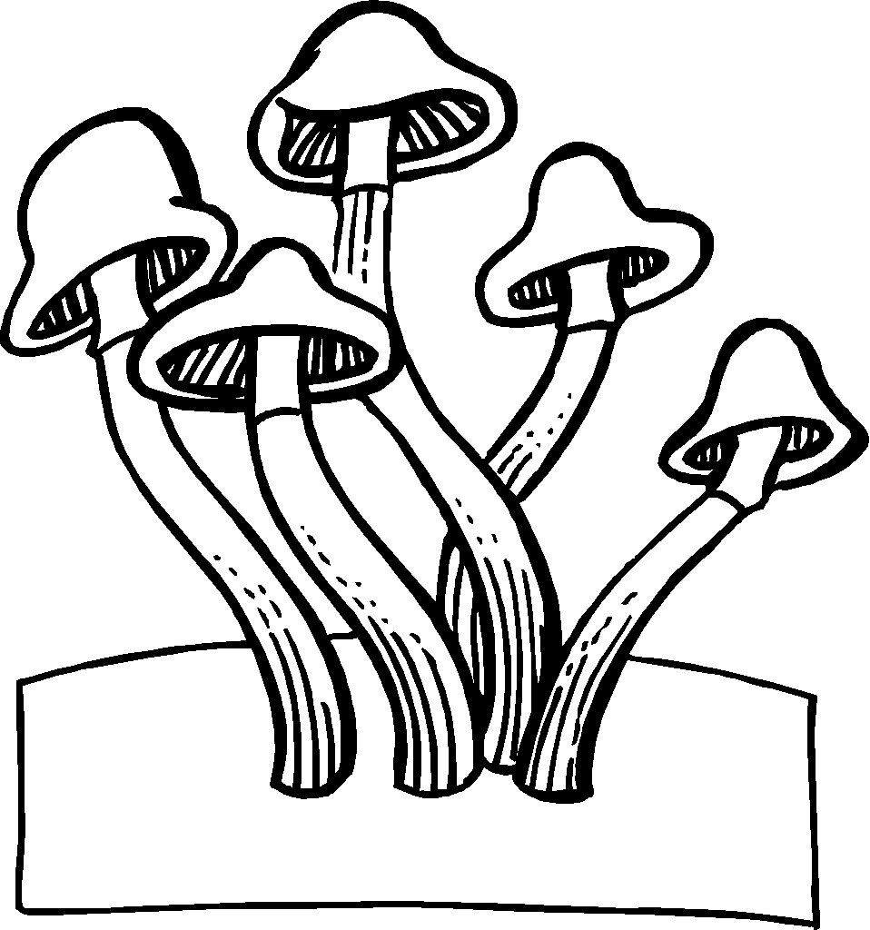 Pagina da colorare di funghi magici