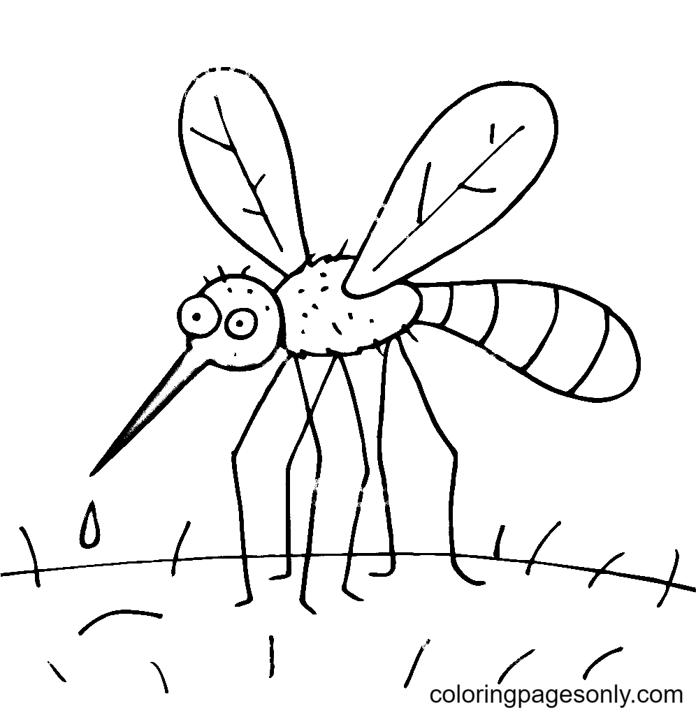 Dibujos animados de mosquitos para niños de Mosquito