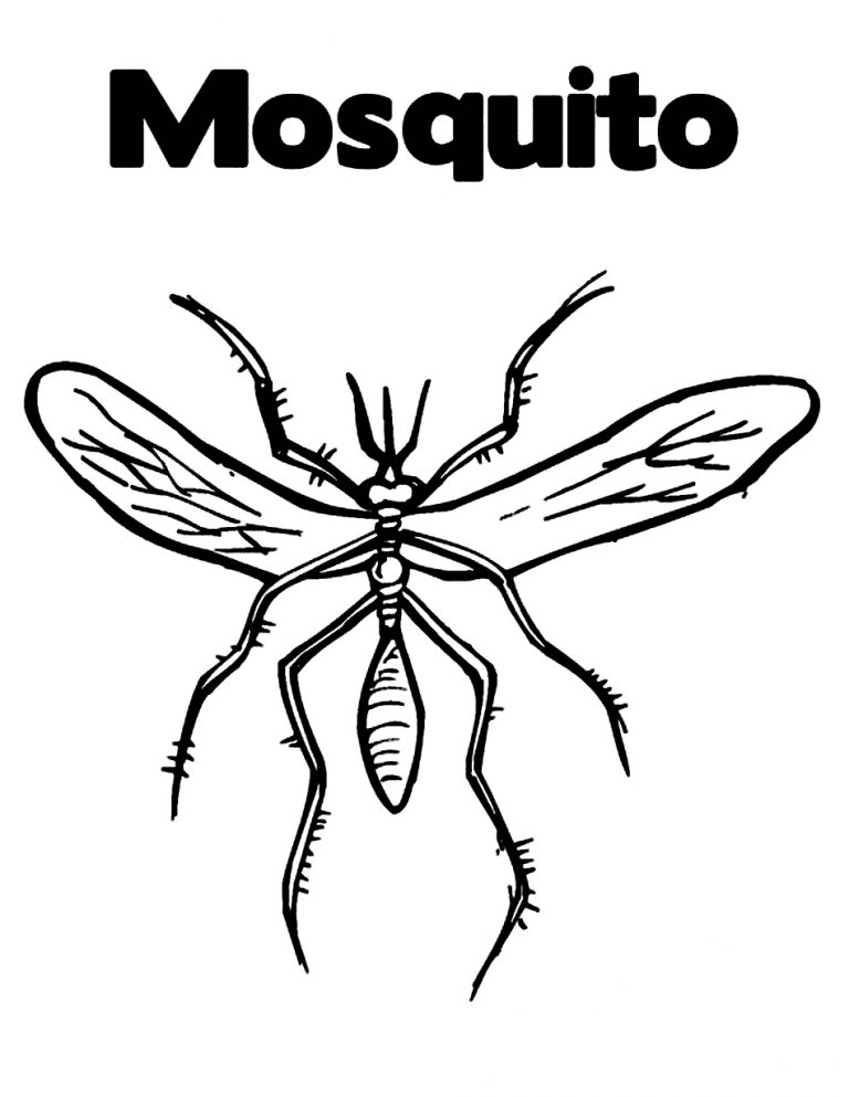 Libre de mosquitos de mosquitos