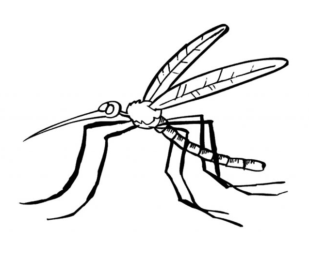 Fogli antizanzare di Mosquito