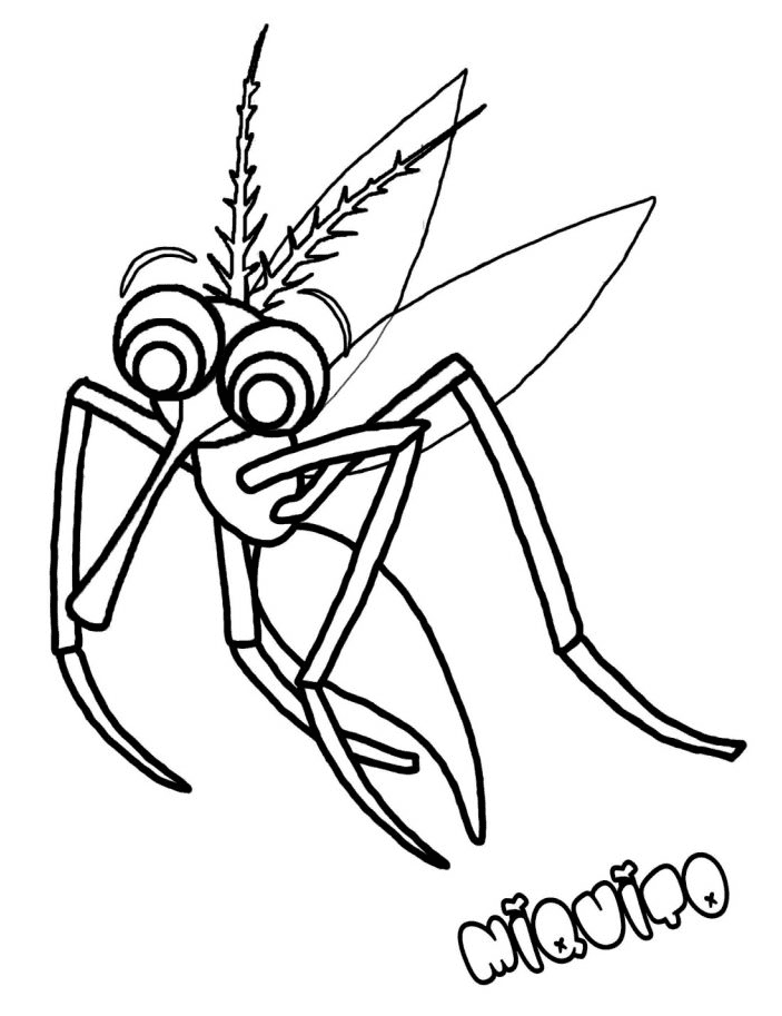 Mosquito for Kids Coloring Page