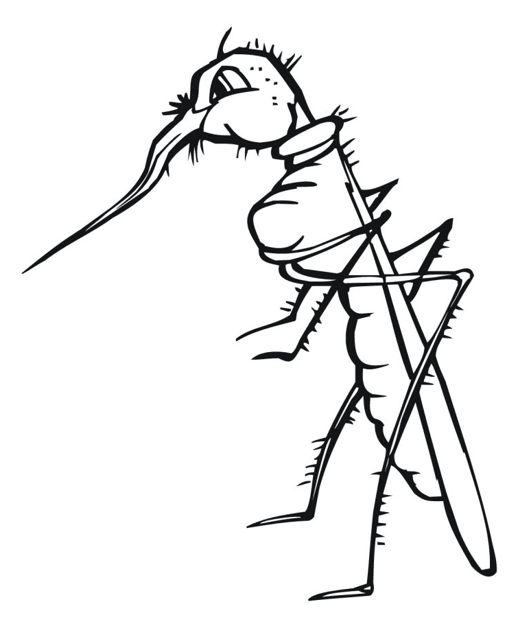 Mosquito with Broken Proboscis Coloring Page