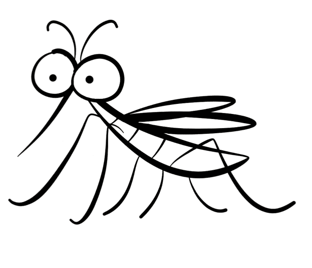 Zanzara dalla zanzara