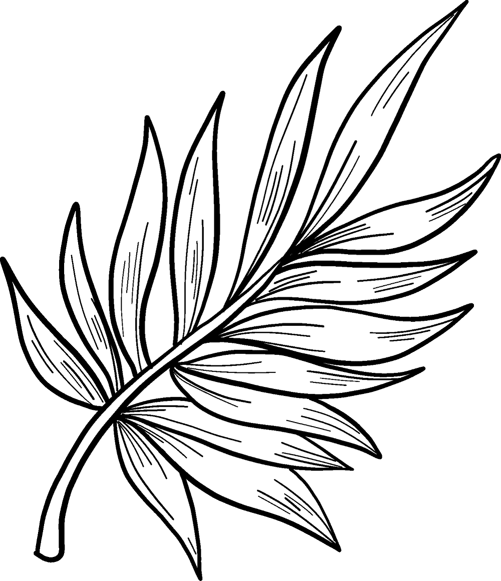 Folha de palmeira para imprimir página para colorir