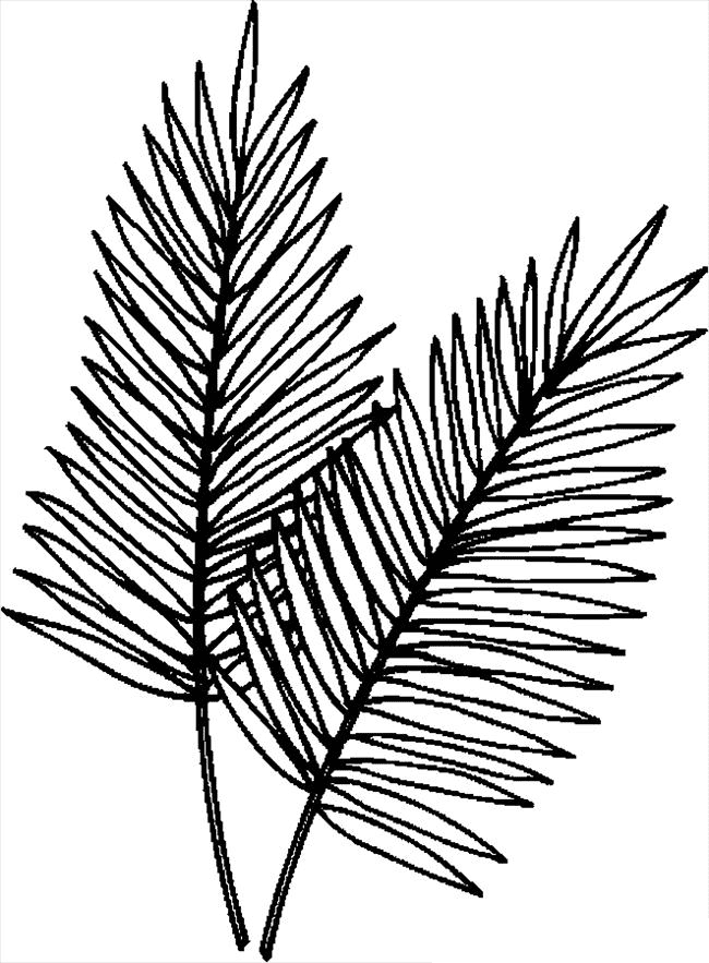 Palmblad Kleurplaat