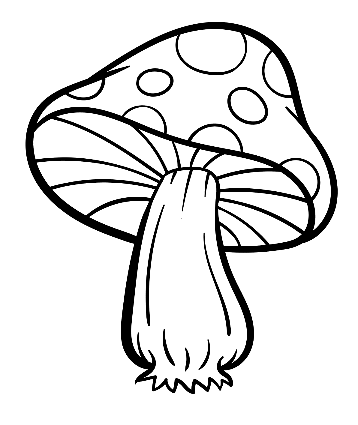 蘑菇里的漂亮蘑菇