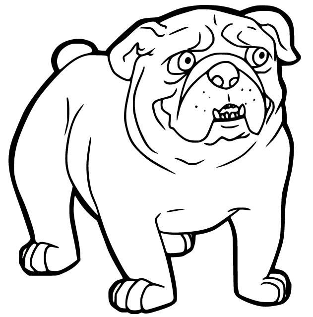 Printable Bulldog Coloring Page