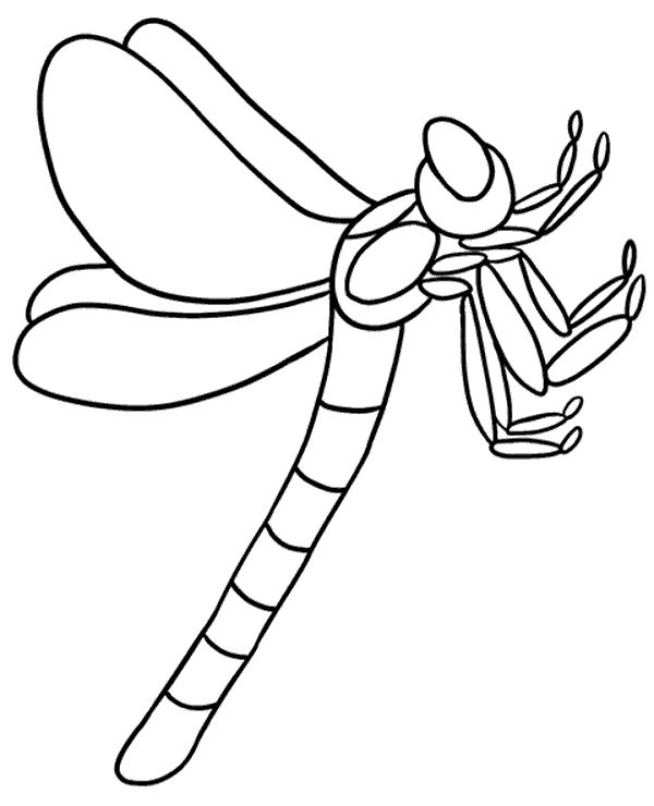 Druckbare Libelle von Dragonfly