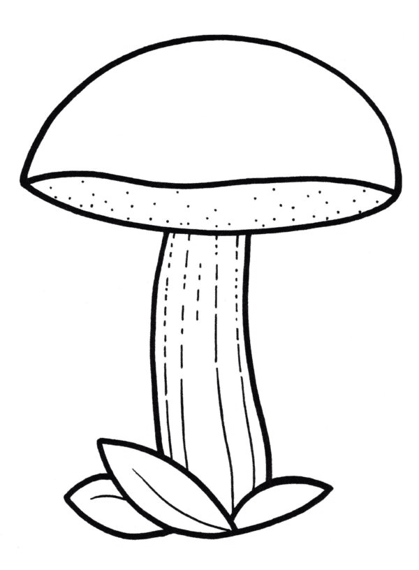 Раскраска Листы с грибами для печати