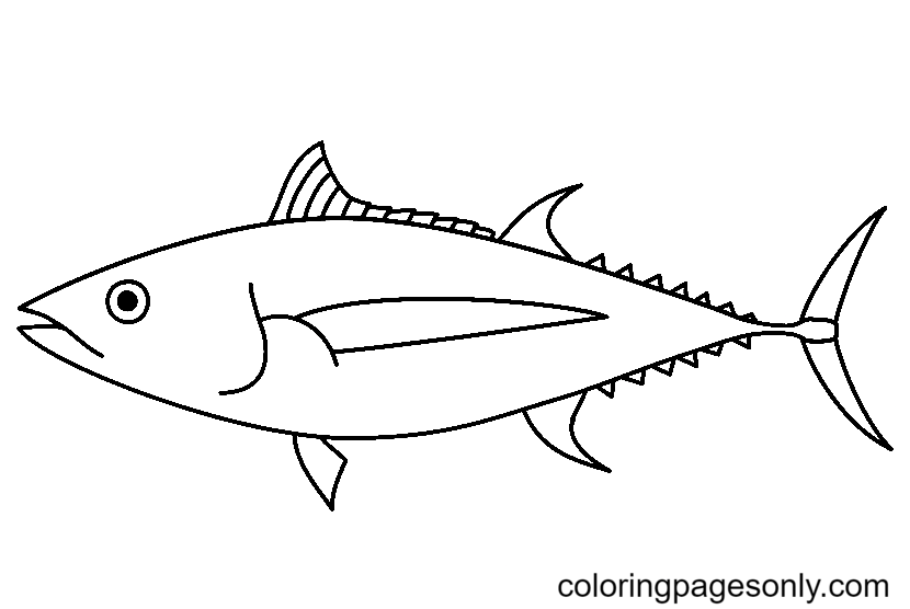 Printable Tuna Coloring Page