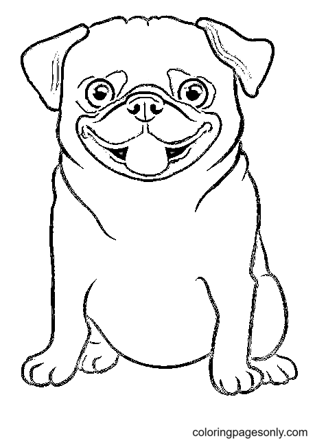 Собака Мопс Бесплатная распечатка от Pug