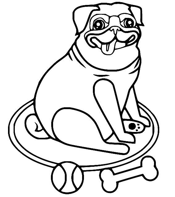 Pug in the Circle Coloring Page