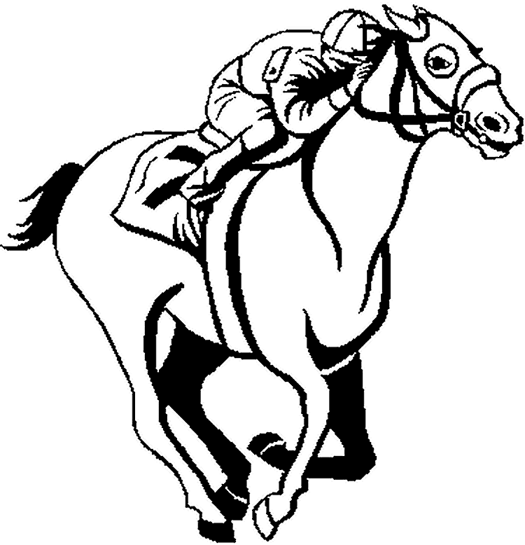 Скаковая лошадь из конного спорта