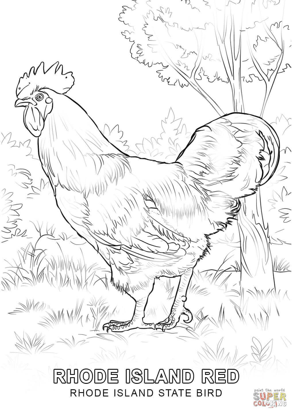 Rhode Island State Bird Coloring Pages