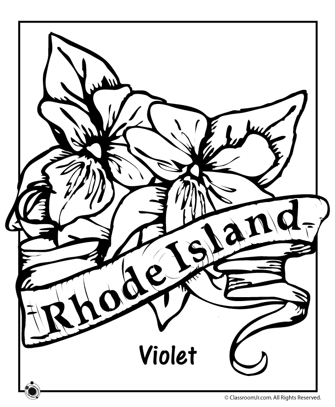 Flores do estado de Rhode Island de Rhode Island