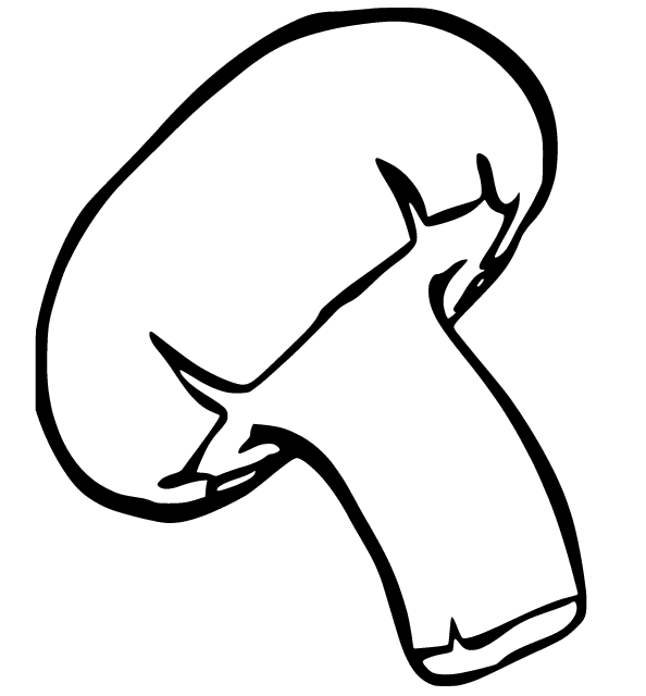 Desenho de Cogumelo Shiitake para Colorir