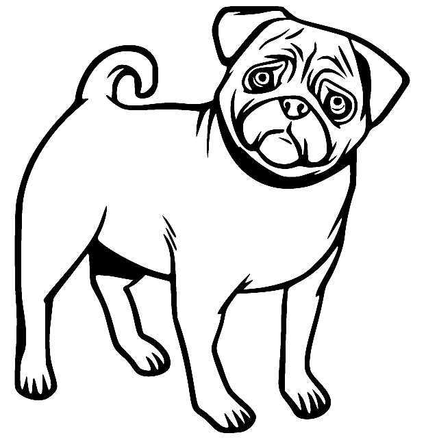 Simple Pug Coloring Pages