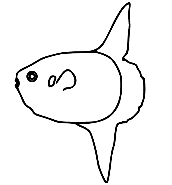 Poisson-lune simple de Sunfish