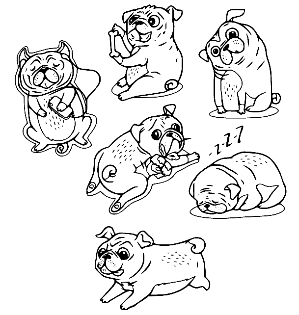 Six Pugs Coloring Pages