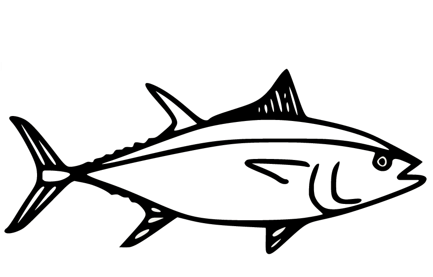 سمكة التونة الوثابة من سمك التونة