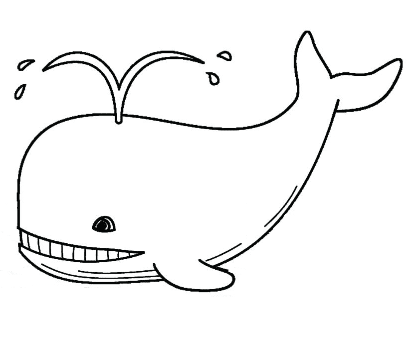 Lachende walvis van Walvis