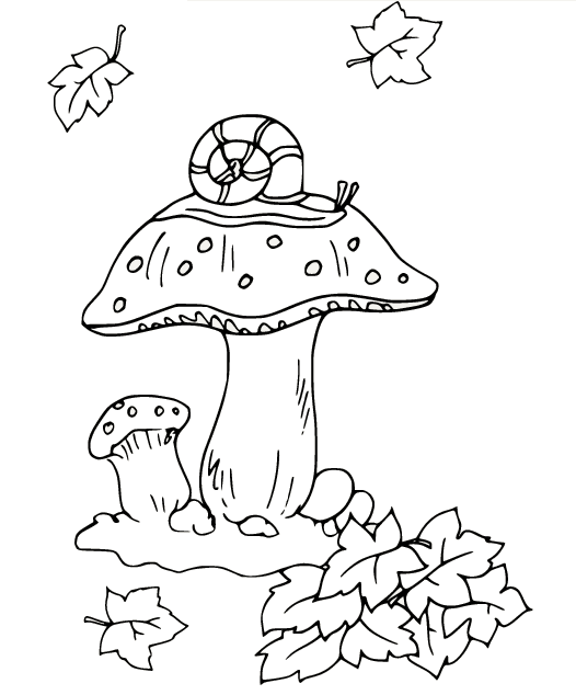 Snail on a Mushroom Coloring Pages