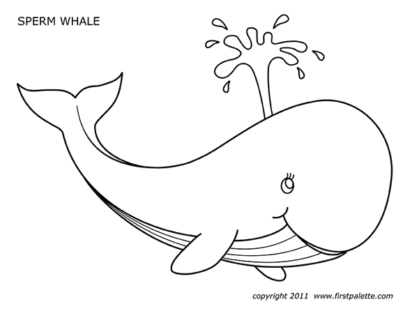 Sperm Whale for Kids Coloring Page