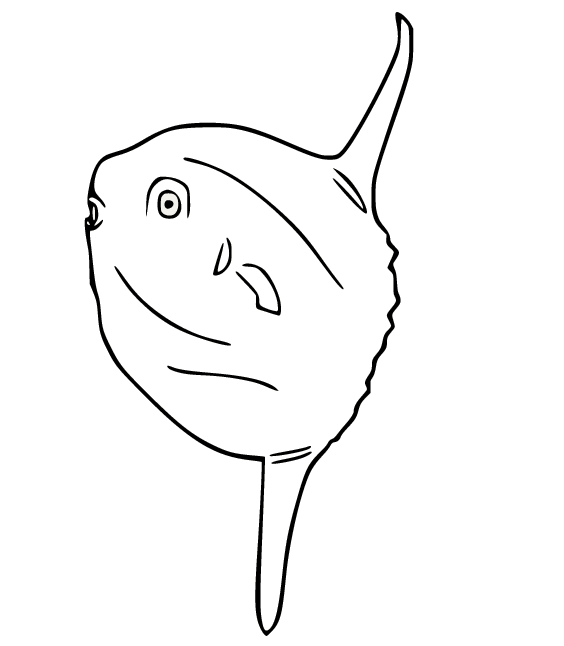 Sunfish Free Coloring Page