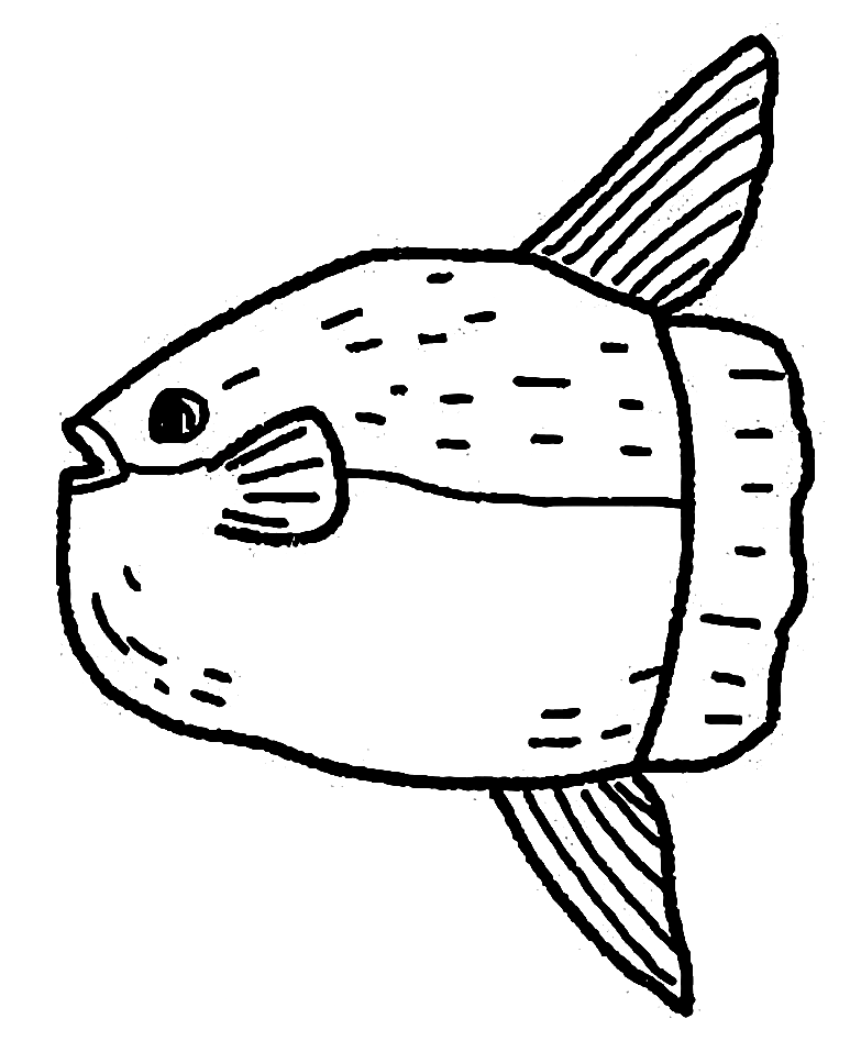 Sunfish Bladen Kleurplaat