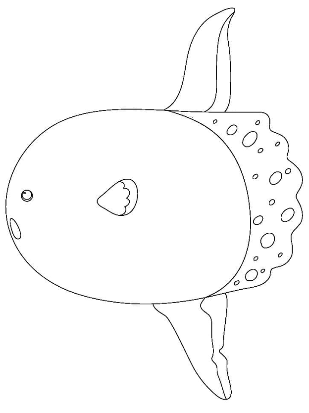 Sunfish to Print Coloring Page