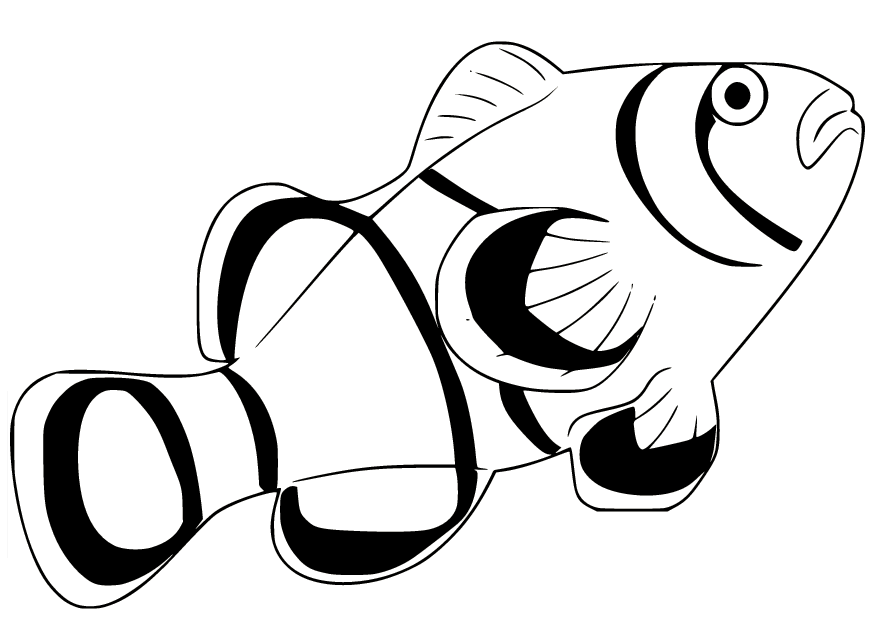 Плавающая рыба-клоун из Clownfish